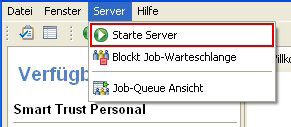 server_start_menu.jpg